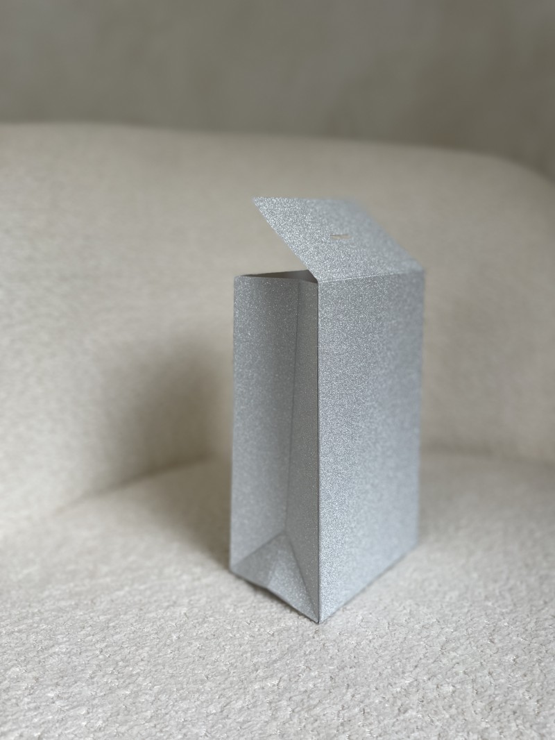 PRESTIGE-ZAK – Glitter Zilver S (12x8x20cm)