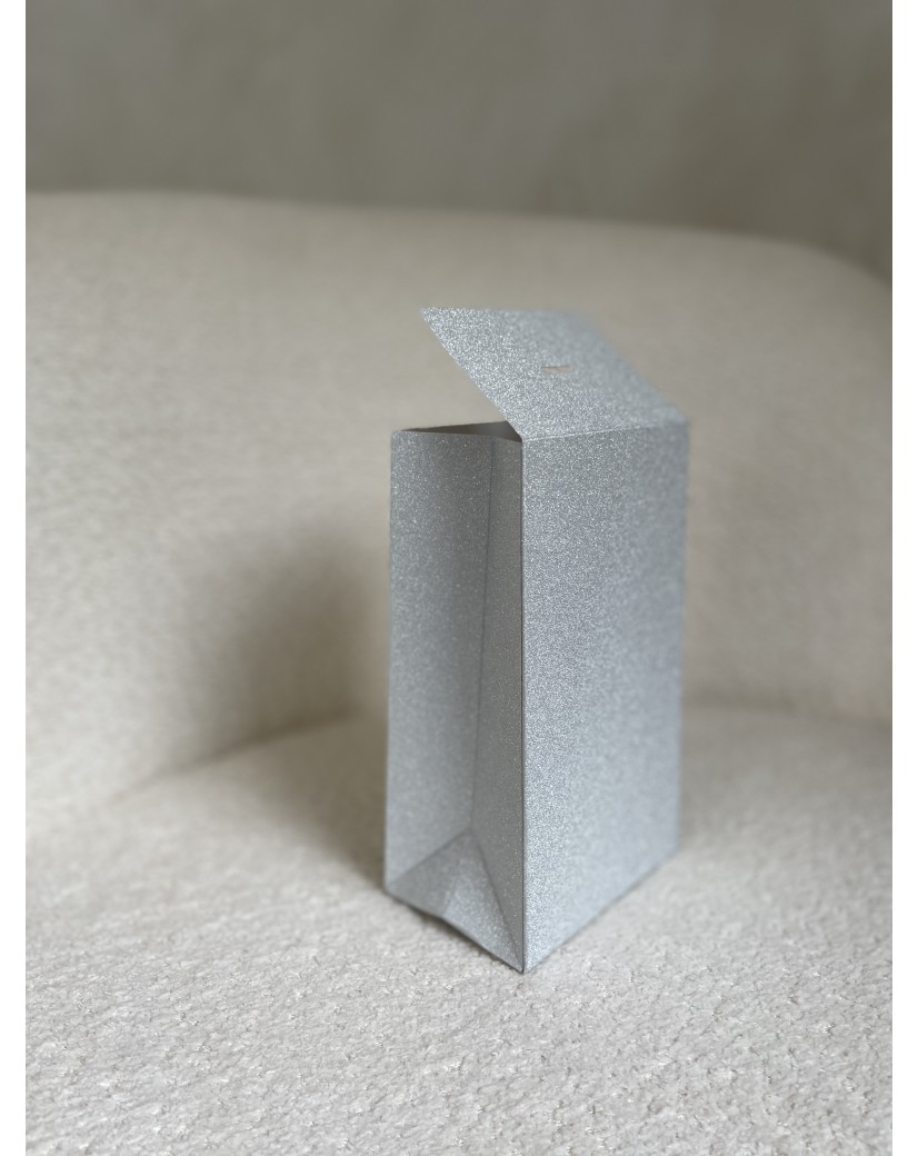 PRESTIGE-ZAK – Glitter Zilver S (12x8x20cm)