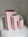 PRESTIGE-ZAK – Roze L (30x12x40cm)