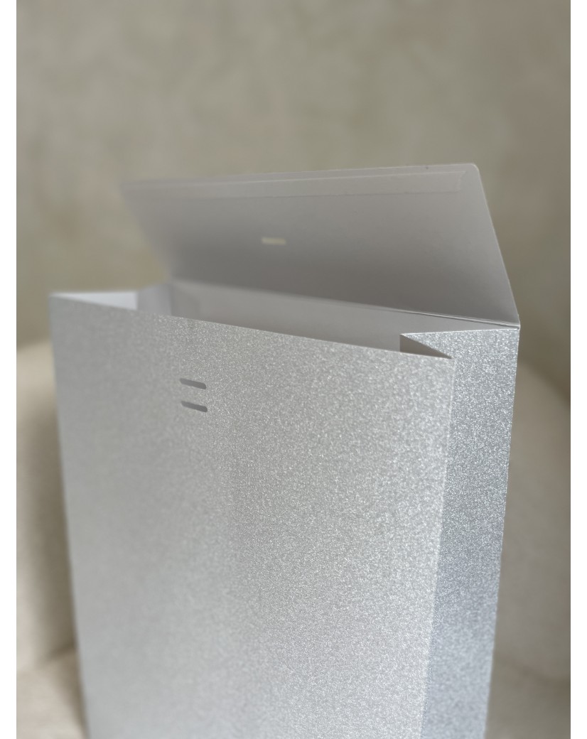 PRESTIGE-ZAK – Glitter Zilver L (30x12x40cm)