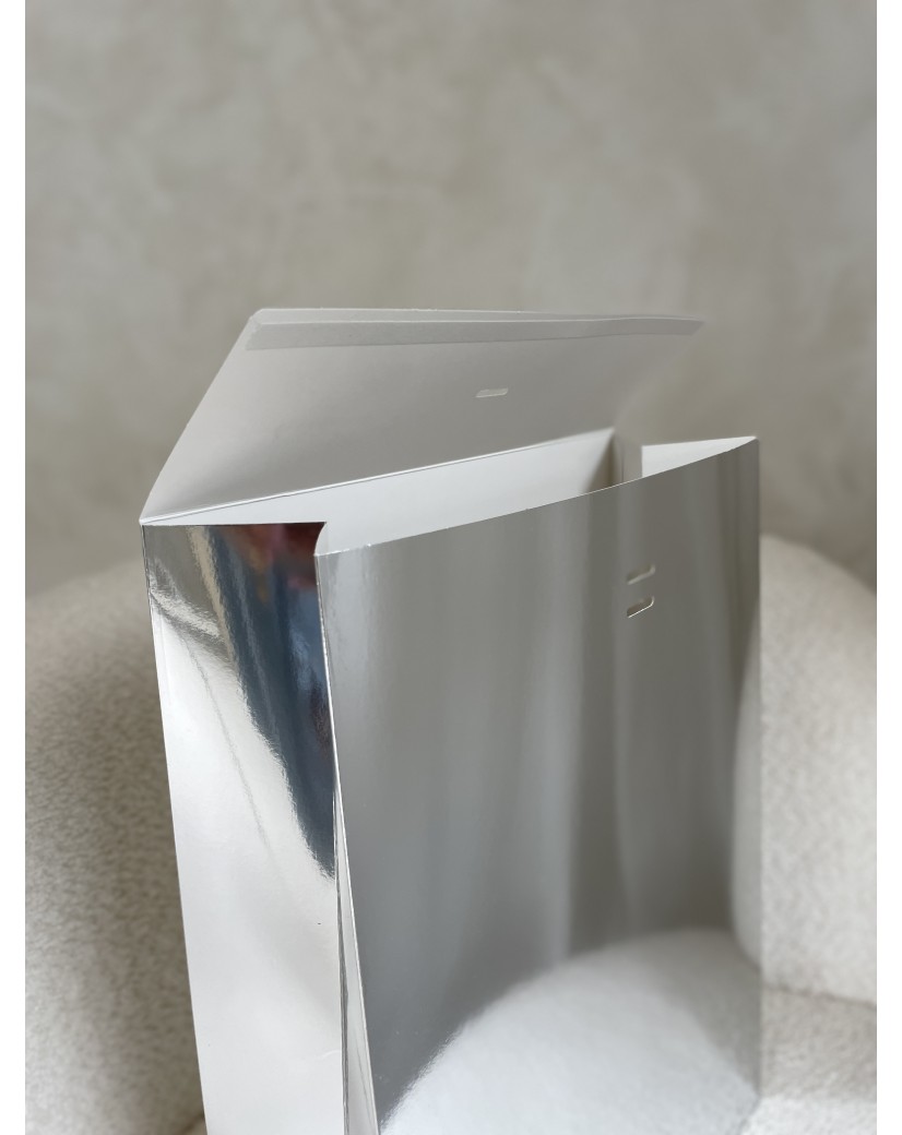 PRESTIGE-ZAK – Spiegel Zilver L (30x12x40cm)