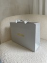 Sac papier Luxe Silver pailleté Express - M (35x12x25cm)