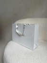 Sac papier Luxe Silver pailleté Express - M (35x12x25cm)