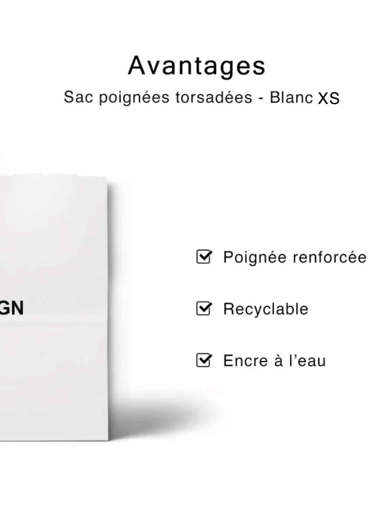 Paper bags with twisted handles – Kraft XS (14 x 8 x 21 cm)