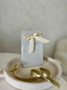 PRESTIGE POUCH SILVER GLITTER – S (12x8x20 cm)
