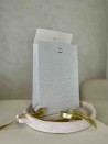 PRESTIGE-ZAK – Glitter Zilver M (20x10x30cm)