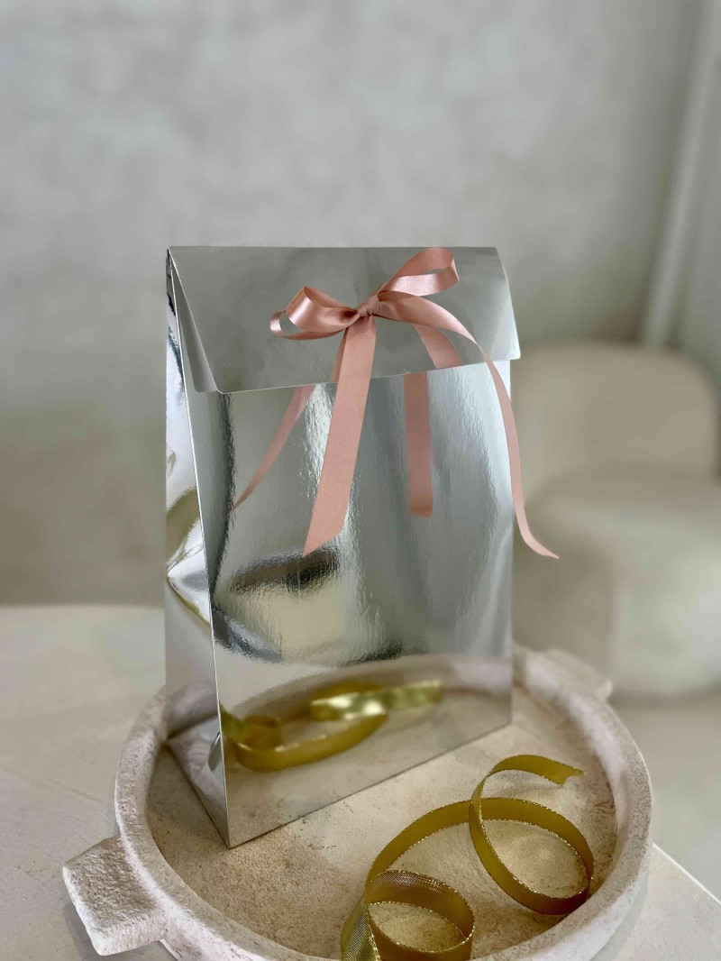 PRESTIGE-ZAK – Spiegel Zilver M (20x10x30cm)