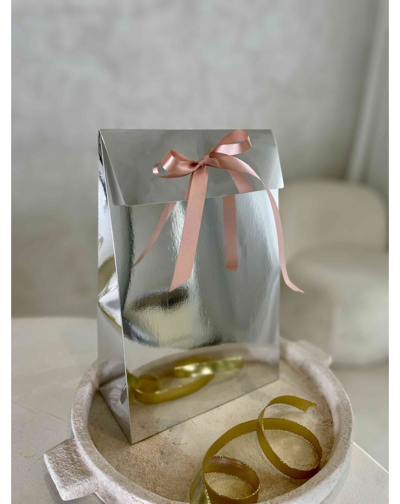 copy of BOLSA PRESTIGE – NEGRO M (20x10x30cm)