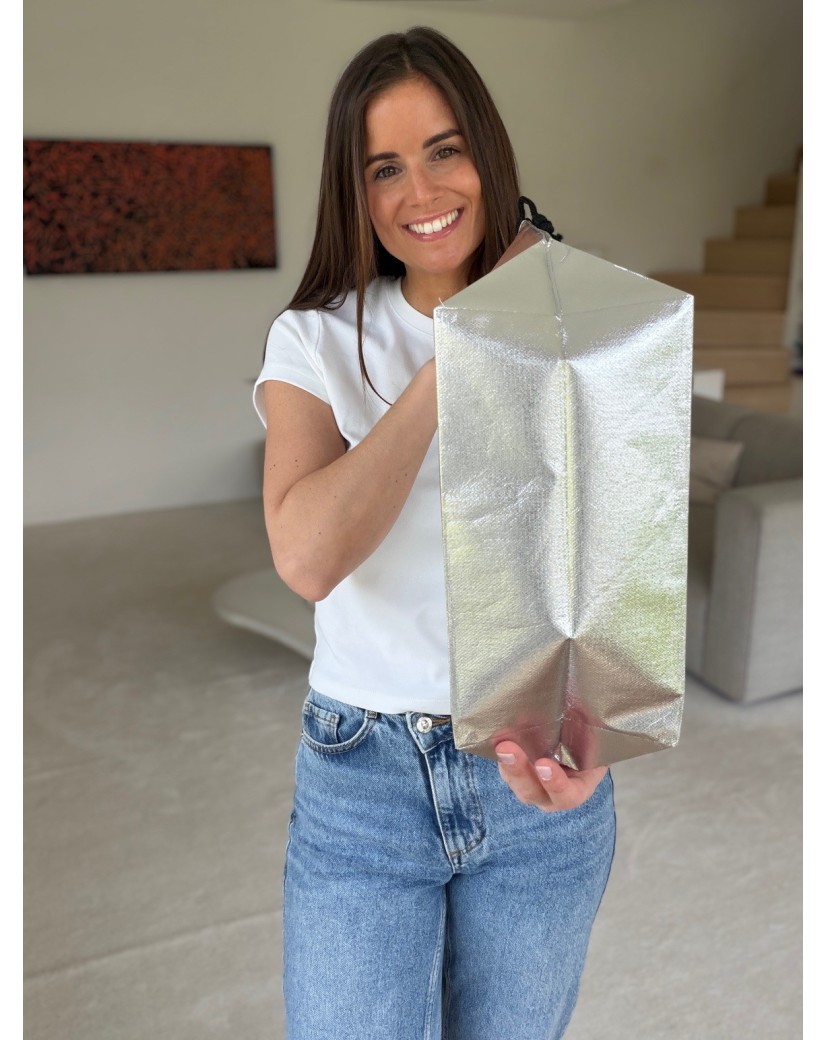 BOLSA NICE PLATEADO – M (40x14x30 cm)