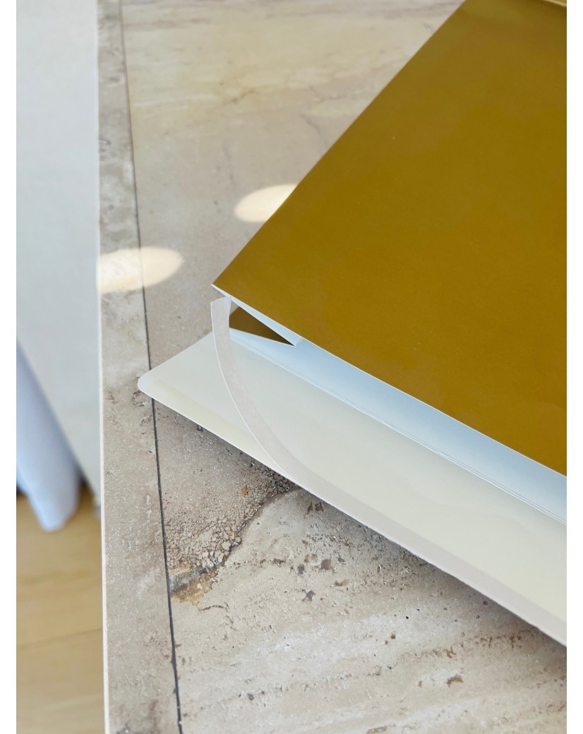 Goldene Geschenktüte – Größe M (22×8×29 cm)