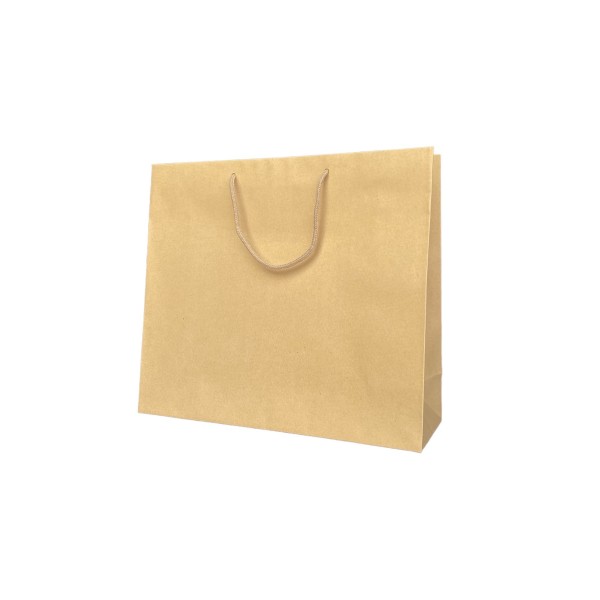 Kraft paper bag with cord handles