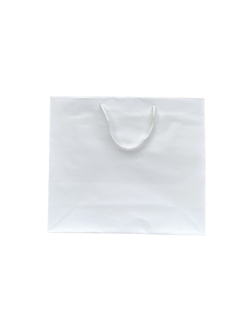 Sac papier Blanc poignée Cordelette Blanc