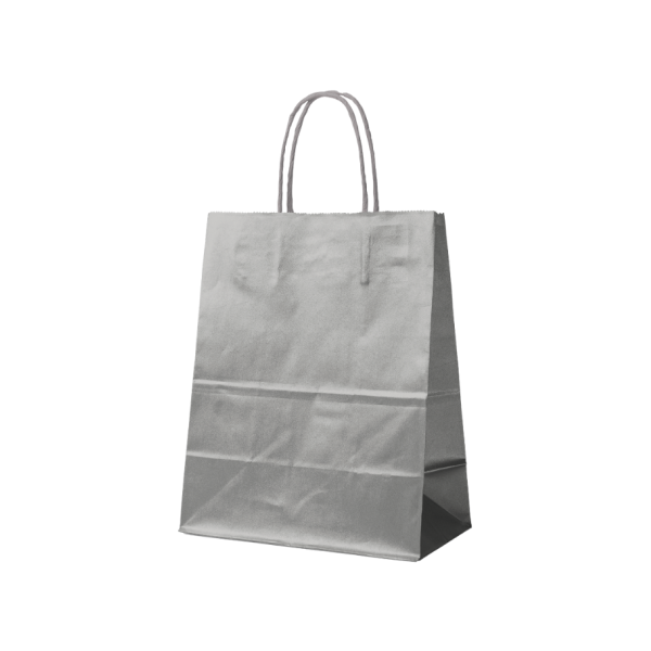 Bolsa de papel Plateada M (22x10x31cm)