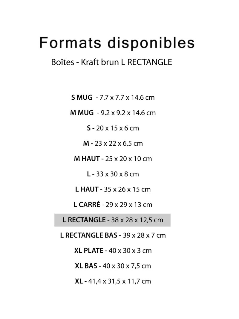 Boîte d'envoi personnalisable 38x28x12,5cm | Chronopack